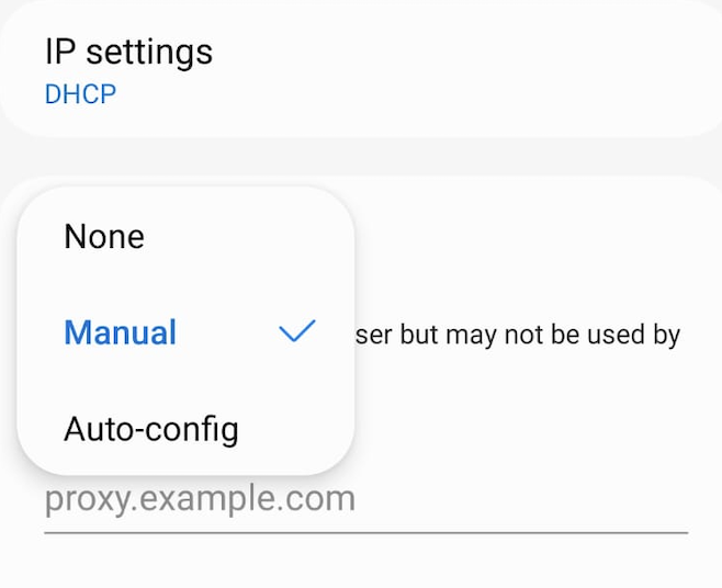 Escolha Manual se você tiver um servidor proxy específico